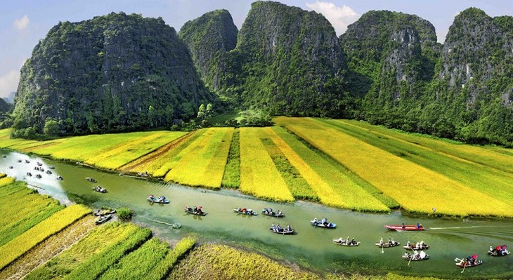 Tam Coc-Bich Dong - ឈូងសមុទ្រ Ha Long លើគោក - ảnh 1